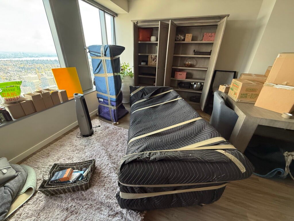 Professional furniture movers